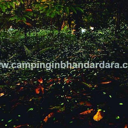 Hotel Samadhan Bhandardara Zewnętrze zdjęcie